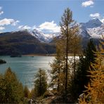 HERBST IM ENGADIN