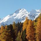 Herbst im Engadin 2