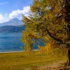 Herbst im Engadin 2