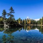 Herbst im Engadin (28)