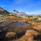 Herbst im Engadin (29)