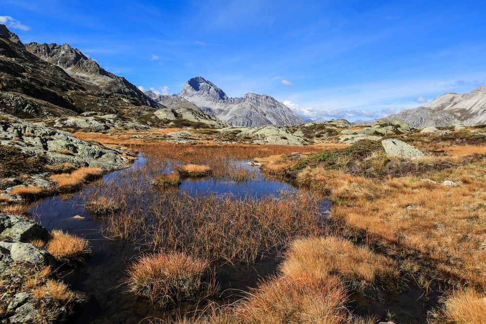 Herbst im Engadin (29)