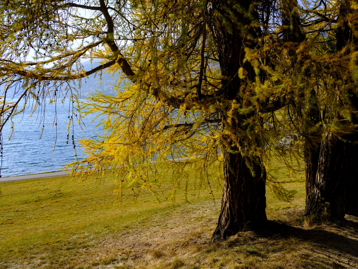 Herbst im Engadin 3