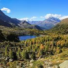 Herbst im Engadin (3)