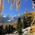 Herbst im Engadin