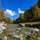 Herbst im Engadin (49)