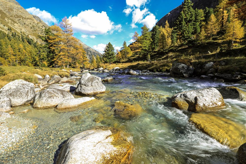 Herbst im Engadin (50)