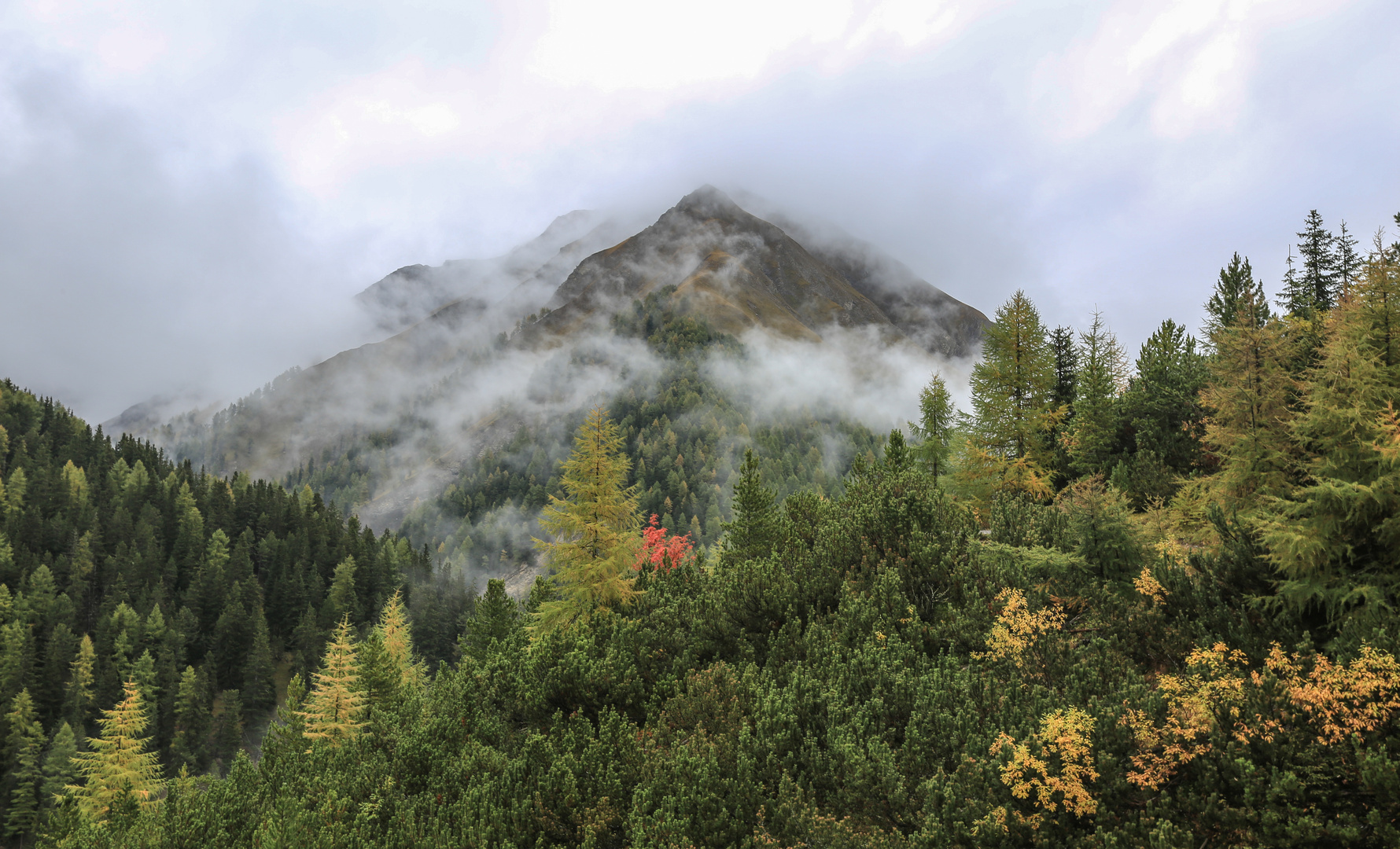 Herbst im Engadin (52)