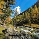 Herbst im Engadin (55)