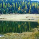 Herbst im Engadin