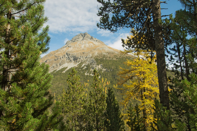 Herbst im Engadin