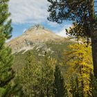 Herbst im Engadin