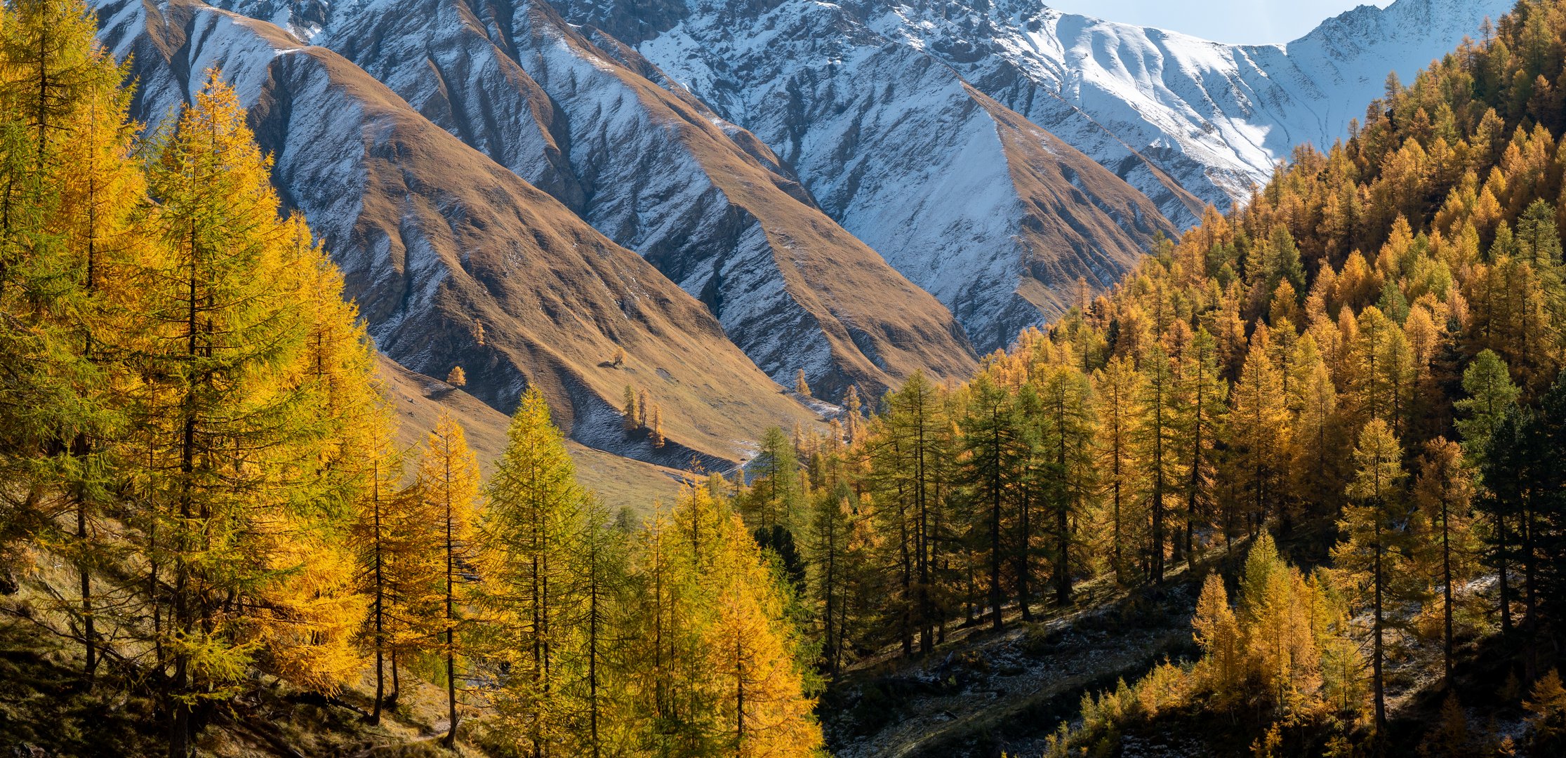 Herbst im Engadin