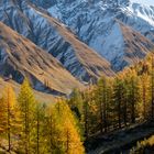 Herbst im Engadin