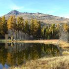 Herbst im Engadin