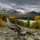 Herbst im Engadin