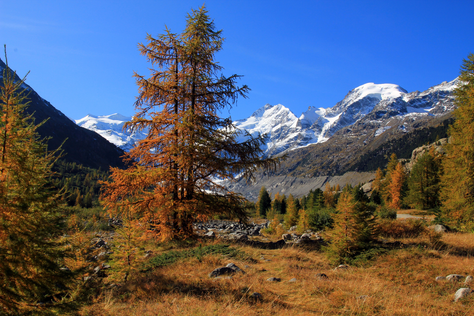 Herbst im Engadin