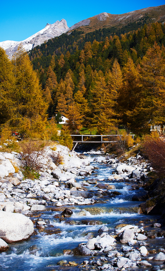 Herbst im Engadin