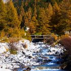 Herbst im Engadin