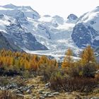 Herbst im Engadin