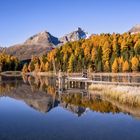 Herbst im Engadin