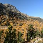 herbst im engadin