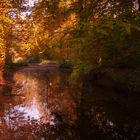 Herbst im Englischen Garten