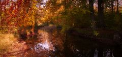 Herbst im Englischen Garten