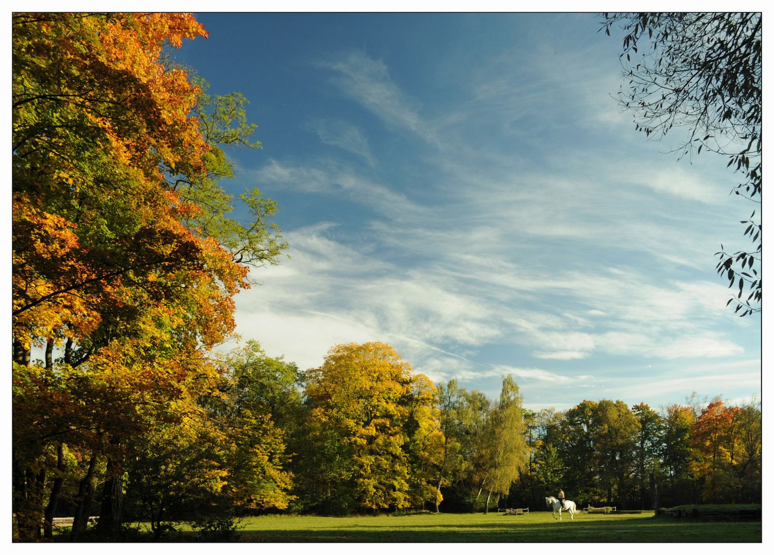 Herbst im Englischen Garten