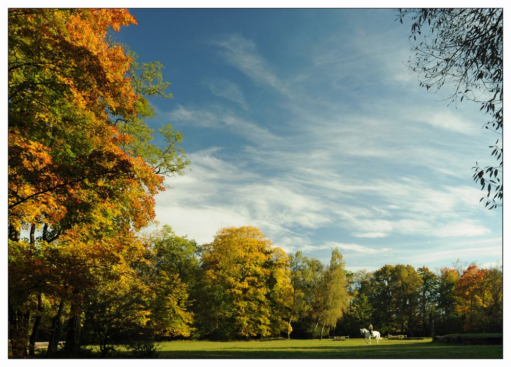 Herbst im Englischen Garten