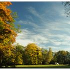 Herbst im Englischen Garten