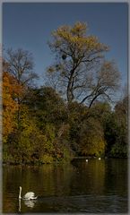 Herbst im Englischen Garten No. 1