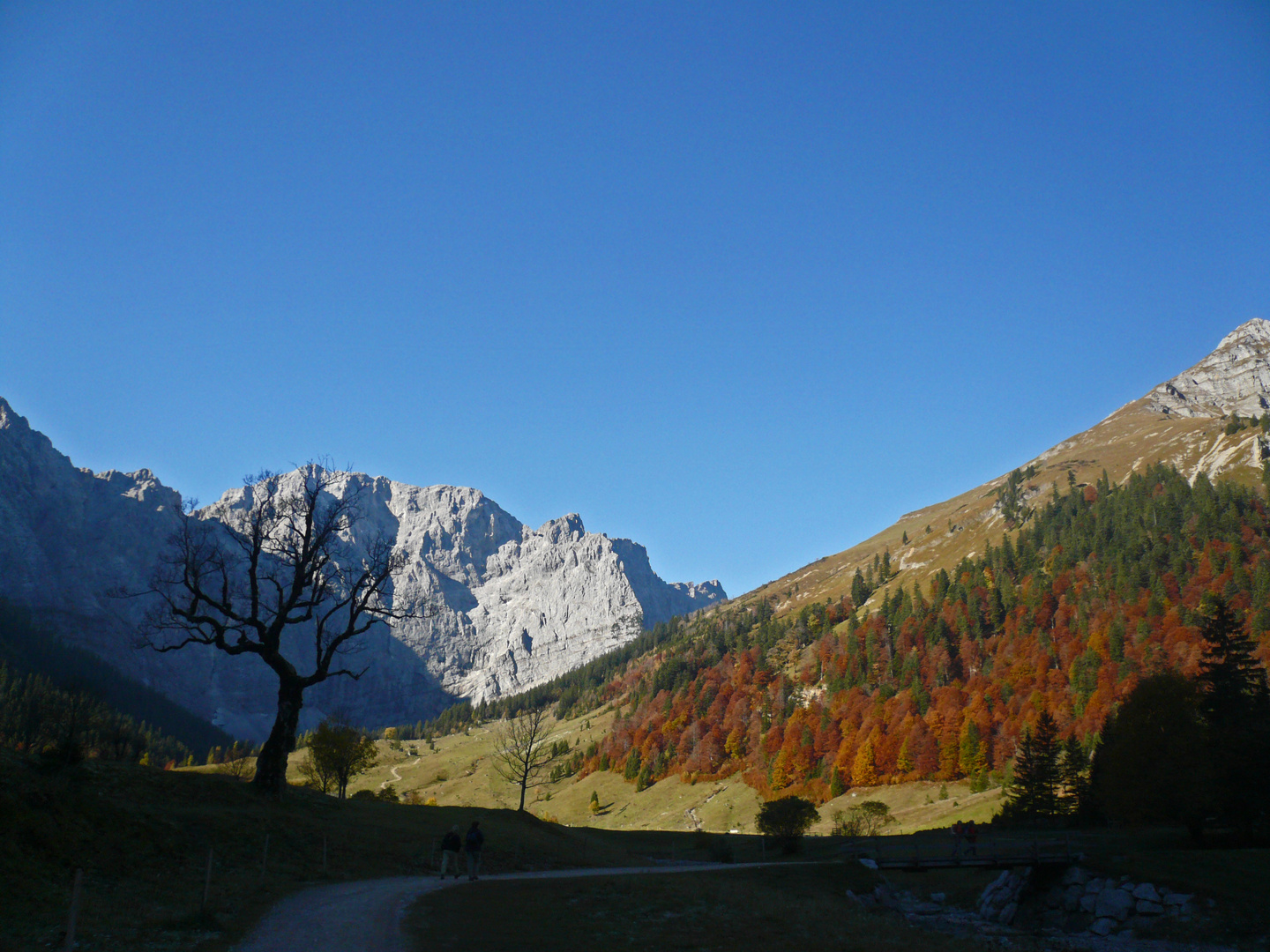 Herbst im Engtal am großen Ahornboden