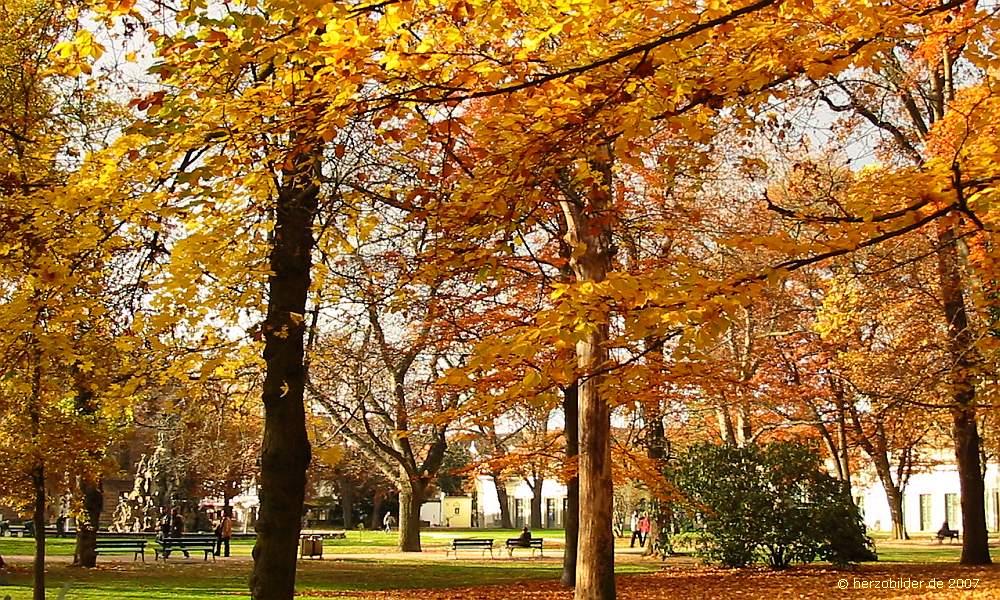 Herbst im Erlanger Schlossgarten