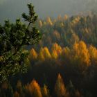 Herbst im Erzgebirge