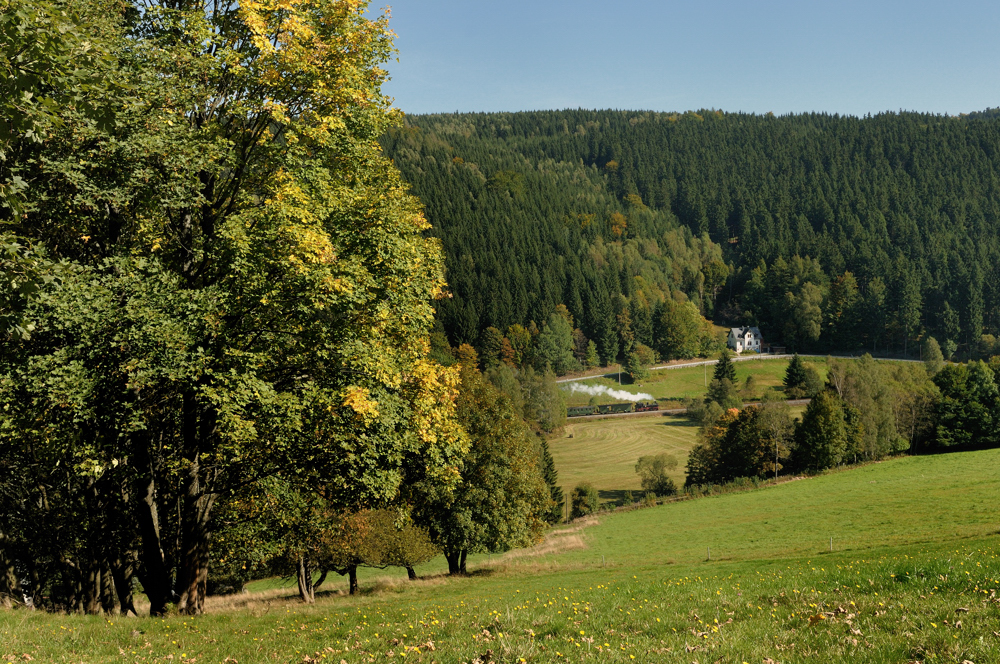 Herbst im Erzgebirge