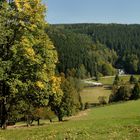 Herbst im Erzgebirge