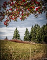 Herbst im Erzgebirge 1