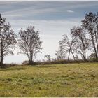 Herbst im Erzgebirge 2