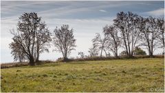 Herbst im Erzgebirge 2