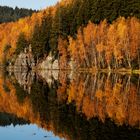 Herbst im Erzgebirge