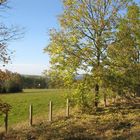 Herbst im Erzgebirge.....