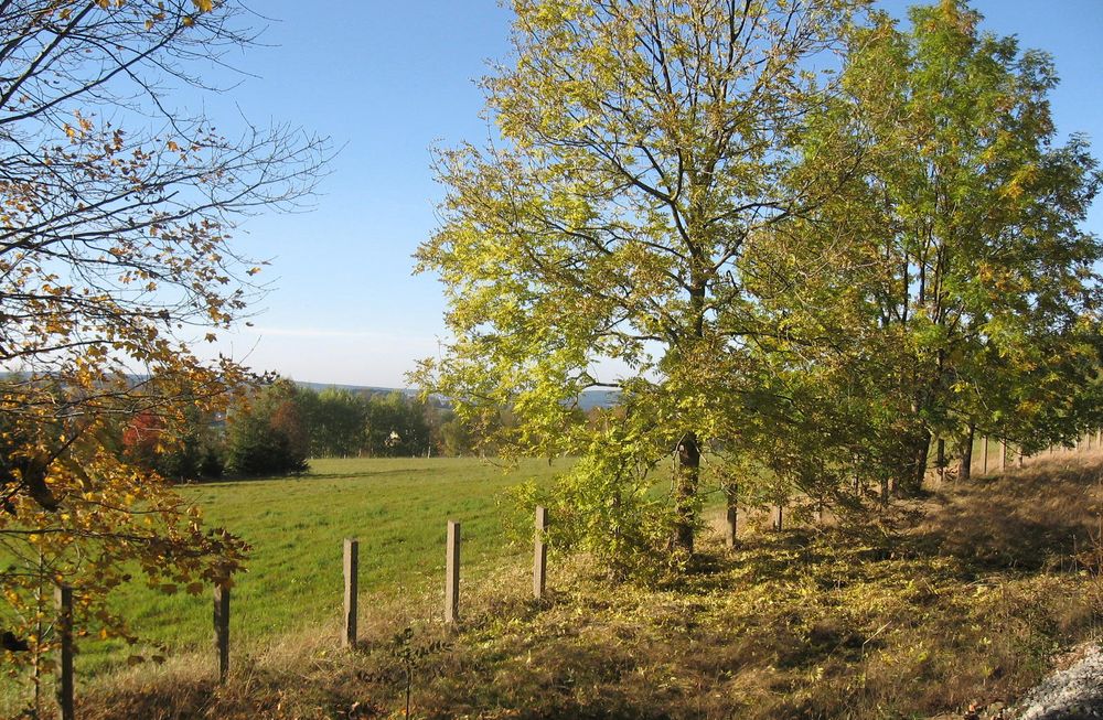 Herbst im Erzgebirge.....