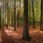 Herbst im Erzgebirge