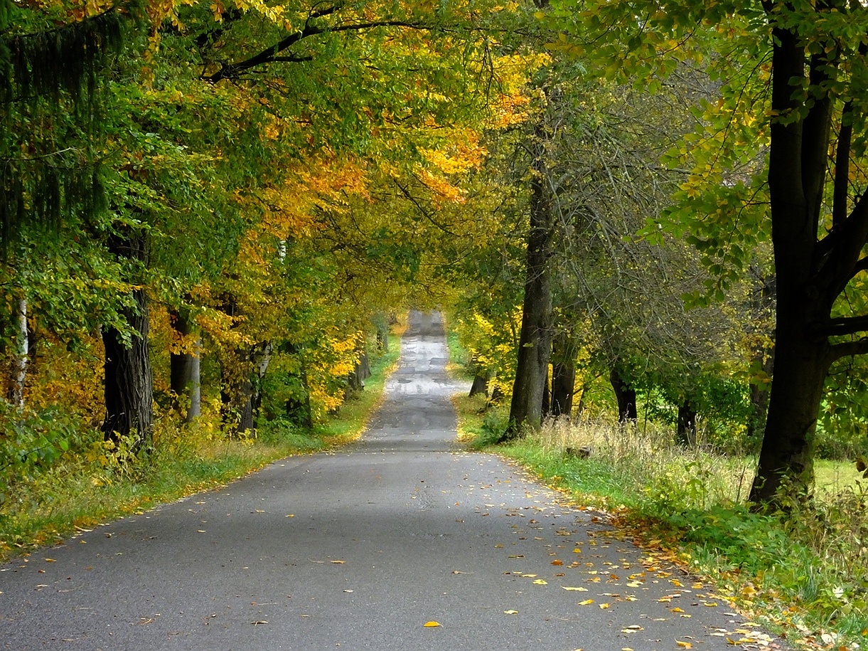 Herbst im Erzgebirge