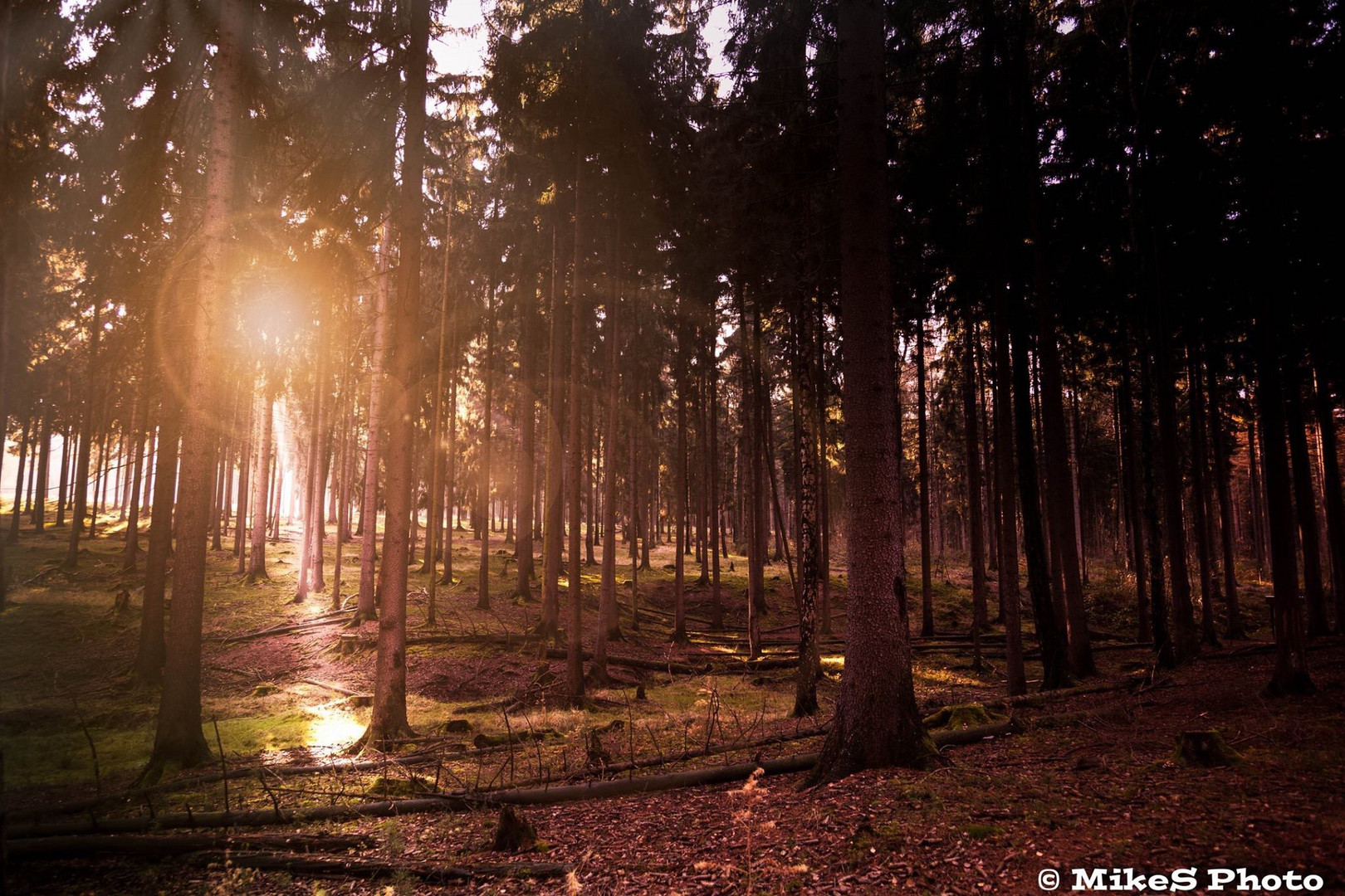 Herbst im Erzgebirge Vol I