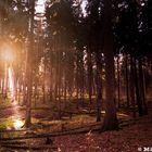 Herbst im Erzgebirge Vol I