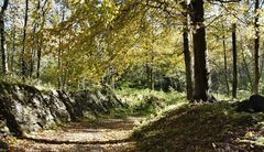 Herbst im Erzgebirge..../2