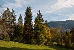 Herbst im Ettal