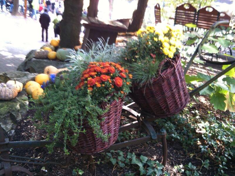 Herbst im Europa Park